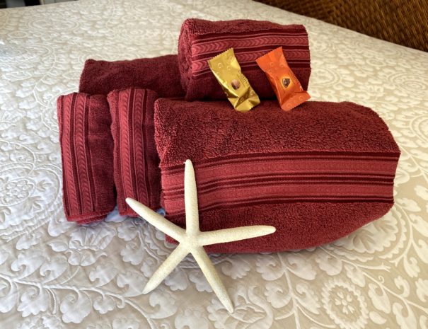 Luxurious bath towels and wash cloths.