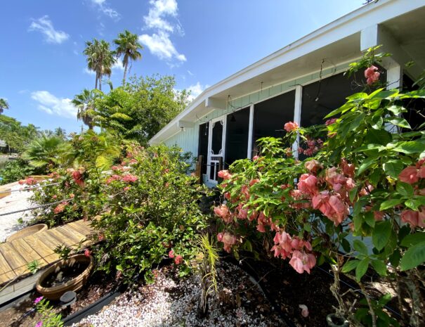 The grounds are a floral fiesta with brightly colored bougainvillea